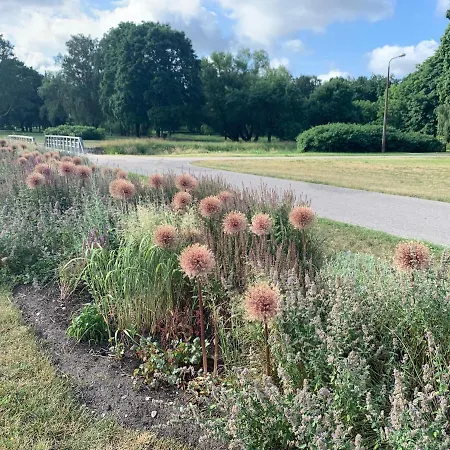 Triada Near The Park And River Daugava Apartment *